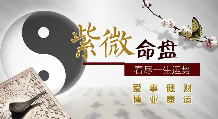 紫微星在子午守田宅宫